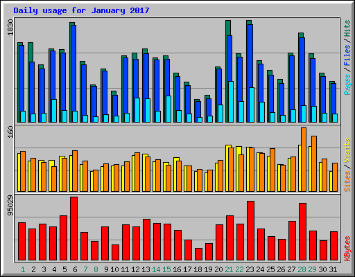 Daily usage for January 2017