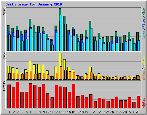 Daily usage for January 2019