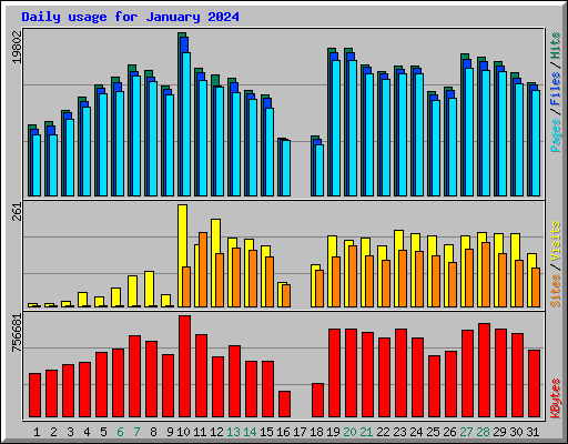 Daily usage for January 2024