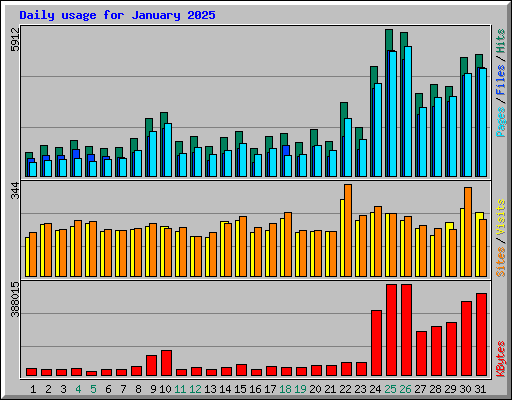 Daily usage for January 2025