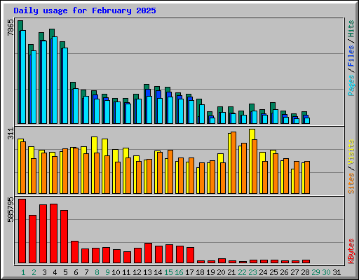 Daily usage for February 2025