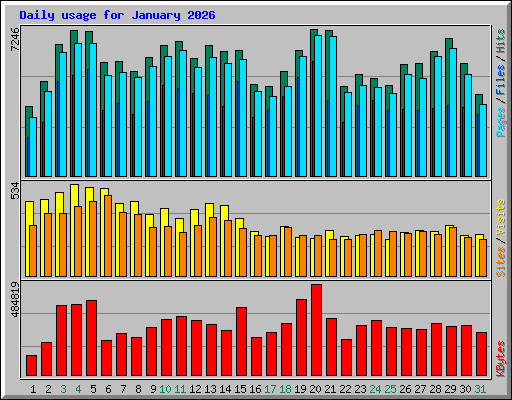 Daily usage for January 2026