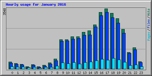 Hourly usage for January 2016