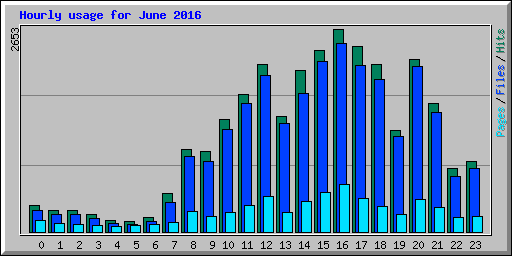 Hourly usage for June 2016