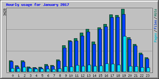 Hourly usage for January 2017