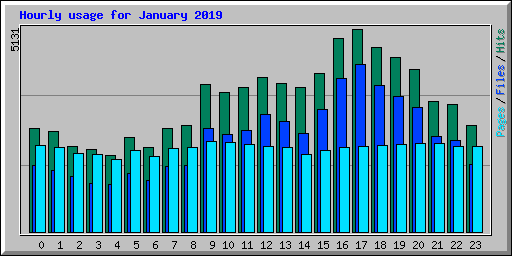 Hourly usage for January 2019