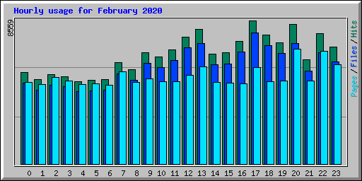 Hourly usage for February 2020