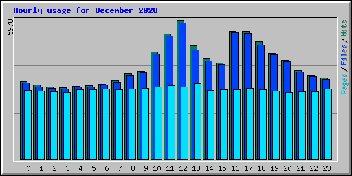 Hourly usage for December 2020