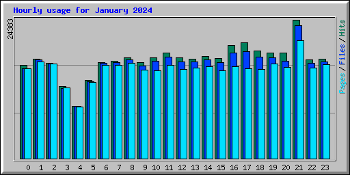 Hourly usage for January 2024