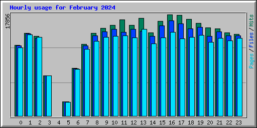Hourly usage for February 2024