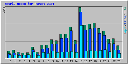 Hourly usage for August 2024