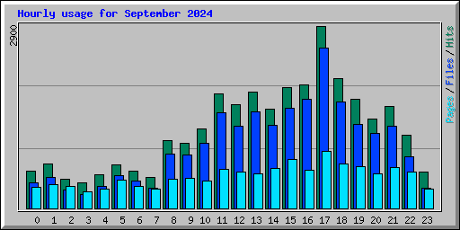 Hourly usage for September 2024