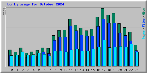 Hourly usage for October 2024