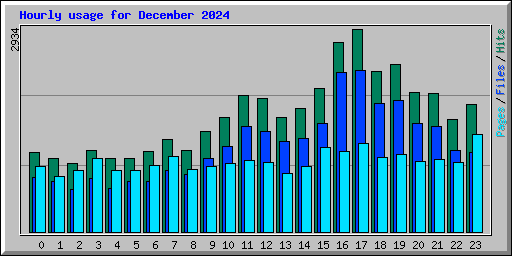 Hourly usage for December 2024