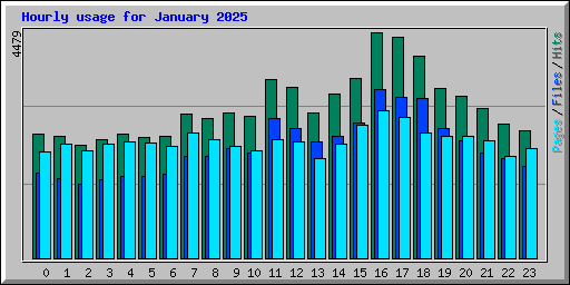 Hourly usage for January 2025