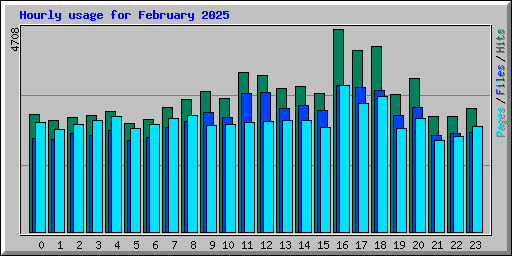 Hourly usage for February 2025