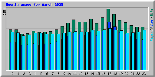 Hourly usage for March 2025
