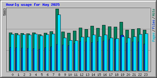 Hourly usage for May 2025