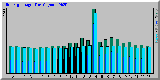 Hourly usage for August 2025