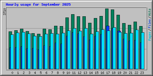 Hourly usage for September 2025