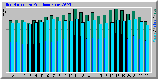 Hourly usage for December 2025