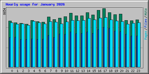 Hourly usage for January 2026