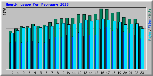 Hourly usage for February 2026