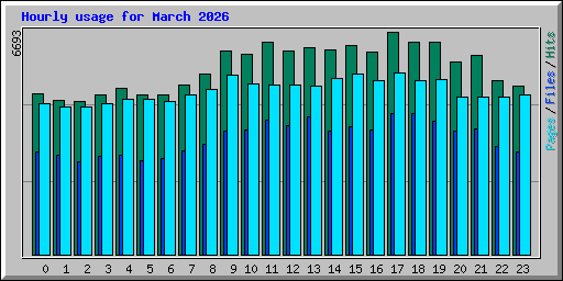 Hourly usage for March 2026