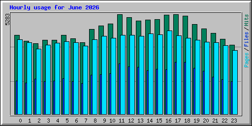 Hourly usage for June 2026